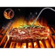 Digitális maghőmérő és ételhőmérő grillhez, húsokhoz -50°C - +300°C