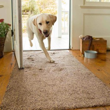   Koszcsapda mikroszálas lábtörlő  barna  45 x 70 cm - 991393